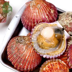 건담농수산 통영 홍가리비 구이, 3kg[45-60미], 1