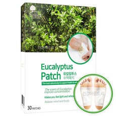 에센스네이쳐 유칼립투스 수액패치 30매입+2매 발패치, 1개, 32개입
