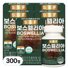 순수식품 보스웰리아 보스웰릭산65% 10개월분(300정), 60정, 5개