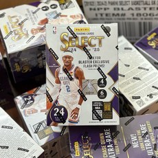 Panini NBA Select Blaster Box 籃球卡盒 2024-25 全新現貨 抽超限量 / 紋 斑馬, 1個