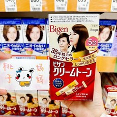 Hoyu 호유 염색약 비겐 크림톤 일본 수입, 4NA 내추럴 브라운