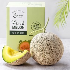 프루미츠 당도 선별 국내산 명품 머스크 메론 선물 세트, 1개, 1.6kg