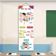 영어 교실 인테리어 포스터 벽장식 문화 스티커 벽화, 단일 패널 가격, 20 x 60cm, 5-My-body
