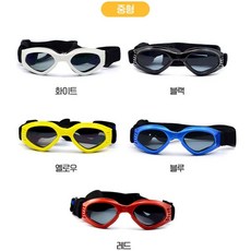 헬로리빙 반려동물 UV차단 눈보호 강아지 선글라스, 1개, 블루