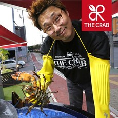 캐나다 활 랍스타 500g 700g 1kg 바닷가재 랍스터, 1개, 랍스타 700g (600-750) X 1마리