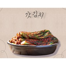 알싸하고 톡쏘는 맛있는 갓김치 5kg (원산지:중국산), 1박스