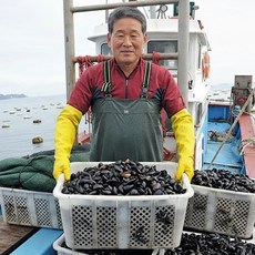 산지직송 경남 통영 자연산 홍합, 1kg