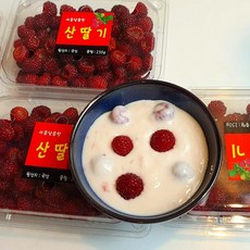 초달달 정성가득 산딸기 급냉, 1박스, 1kg