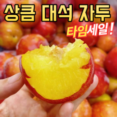 오늘특가 대석자두 새콤과즙 김천 자두, 1개, 3kg