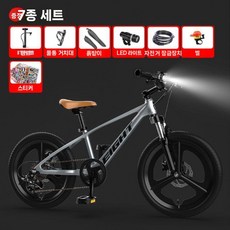 20인치 어린이 두발자전거 마그네슘합금 입문용 저학년 자전거, 20 인치, G. 실버 (기어조절)