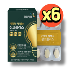 메모리서포트 Ginkgo Plus 직장인 성인두뇌 기억력 영양제 30캡슐 1BOX, 6박스, 30정