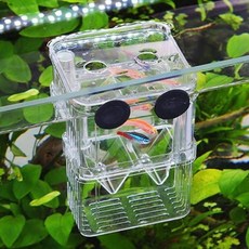 구피 치어 열대어 격리 부화 통 어항 대형 은신처 용품 물고기 망, 1개