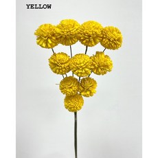 花藝夢*索拉乒乓菊*整把販售*3公分 乒乓菊 通草花 擴香花 永生花 乾燥花材, YELLOW