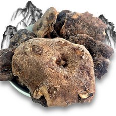 며느리약초 자연산 냉동 능이버섯 (특품) 1kg, 1개