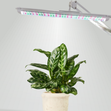 풀나옴 삼성 식물등 식물LED 바 식물조명 집중형 60cm, 전구색, 1개
