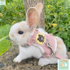 本町萌寵 台灣出貨 兔子牽引繩防掙脫兔兔鍊子遛兔繩伸縮可調節遛兔繩兔子用品項圈 DWCW, 粉色小熊遛兔繩,大兔子（2.5-4公斤）, 1個