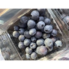 새콤달콤 수입 블루베리, 1개, 칠레 블루베리 (대) 16mm