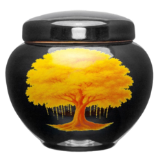 황금나무 흑자 소금단지 미니 항아리 현관 풍수 인테리어 국산 친집선, 1개