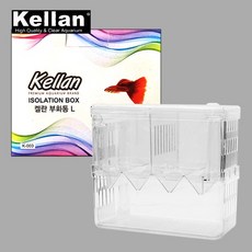 다팜아쿠아 켈란 K-003 난태생 구피 몰리 플래티 관상어 프리미엄 아이솔레이션 L사이즈 부화통, 1개