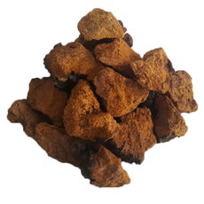 차가버섯, 수량, 1개