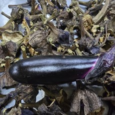 [한스푼푸드] 말린 가지꼭지차 100g 생산자 직거래 건가지꼭지, 1개