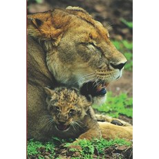 (英文圖書)B'ajlom ii Nkotz'i'j Publications' Luo Phrasebook: Ideal for Traveling to Kenya... 平裝版, Independently Published, English, Paperback
