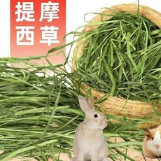 提摩西草 寵物牧草, 1個