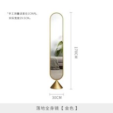 立式穿衣鏡 全身鏡 置物掛衣鏡 家用臥室客廳落地鏡 少女試衣鏡 旋轉全身鏡, 落地全身鏡：【金色】170*30cm