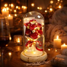 Novah 영생화 유리돔 장미 LED 무드등 비누꽃 로즈데이 선물용 메시지 카드 포함, 레드