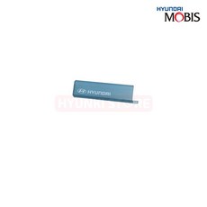 현대모비스 프로텍트 키 (81995KL010)