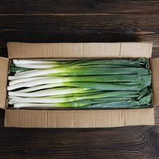 수입 대파 10kg 중국산 깐대파 손질대파 식자재 업소용 도매, 대파 10kg 수입, 1개