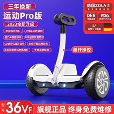 전동 밸런스 자전거 성인용 두발 입문 바이크, 36V화이트레그컨트롤/블루투스+8인치방폭휠