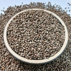 2025년산 국내산 들깨 5kg 통들깨 볶지않은 생들깨 기름짜기용 국산들깨, 1개