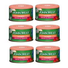 존 웨스트 연어 통조림 양파 토마토 John West Onion Tomato Salmon Tempters, 6개, 95g