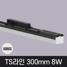 LED T라인 레일조명 트랙등 티라인 300mm, 예도 TS라인 화이트바디, 8w 300mm, 주백색 아이보리빛 4000K, 1개