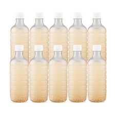 한양전통 집에서 만든 그맛그대로 얼음동동수제 무라벨식혜, 10개, 500ml