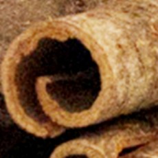 베트남산 수정과 통계피 벌레퇴치 천연 방향제 시나몬스틱, 1개, 1g