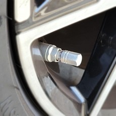 타이어 휠 밸브 캡tae2+4mEi