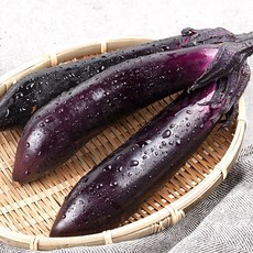 해송 국내산 싱싱 가지, 1박스, 5kg (대크기 )