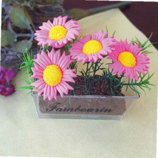 점토놀이 TBZ (TD) 나의 작은 가을 코스모스 꽃밭 만들기 - 5인 세트, 본상품