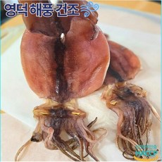 맛곳간 영덕 해풍 반건조 오징어 정품 원양산 (5+5 총 10마리), 1개, 1.1kg-1.3kg (10미)