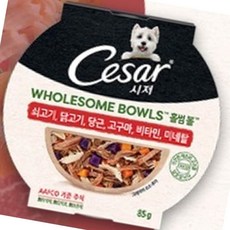 쇠고기 85g 고구마 당근 신선한재료 캔 닭고기 포만감 19825PC 1(EA)