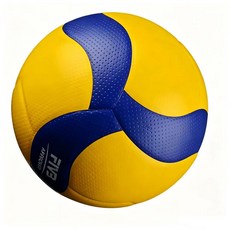 경기용 스타 배구공 5호 연습용 피구공 스타피구공, 01 V300W
