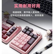 KZZI K20 넘버패드 노브 숫자 텐키패드 기계식 매크로 20키 V2) (풍우축 베이지, U01KTGQSS2PD39HGKQ9AFK0NH5-049, A. K20 Mi dou zi, M. TTC 비너스 축 고속 리니어