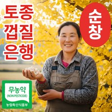 더맛곳간 무농약 국산 피은행 껍질은행 햇 은행 은행알 은행열매 생은행 중, 1개, 1kg