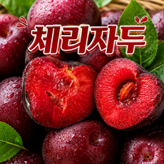 [초특가] 16brix 이상 산지직송 새콤달콤 체리자두, 1박스, 1kg