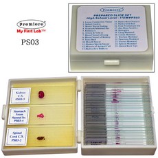 편리한 프레파라트 상급 25종 현미경관찰 실험장치 영구프레파라트, 단일 수량