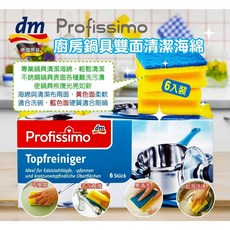 德國 DM 業務用 專業級 不銹鋼鍋具專用 雙面清潔海綿 6入組, 鍋具專用雙面清潔海綿刷6入組, 1個