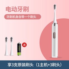 HYLSS 白色 聲波電動牙刷 口腔清潔 深層潔淨, 1個, 如圖所示7425, 白色802电池 三个刷头一节电池