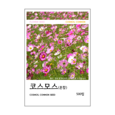 새싹바라기 코스모스(혼합) 씨앗 500립, 1개